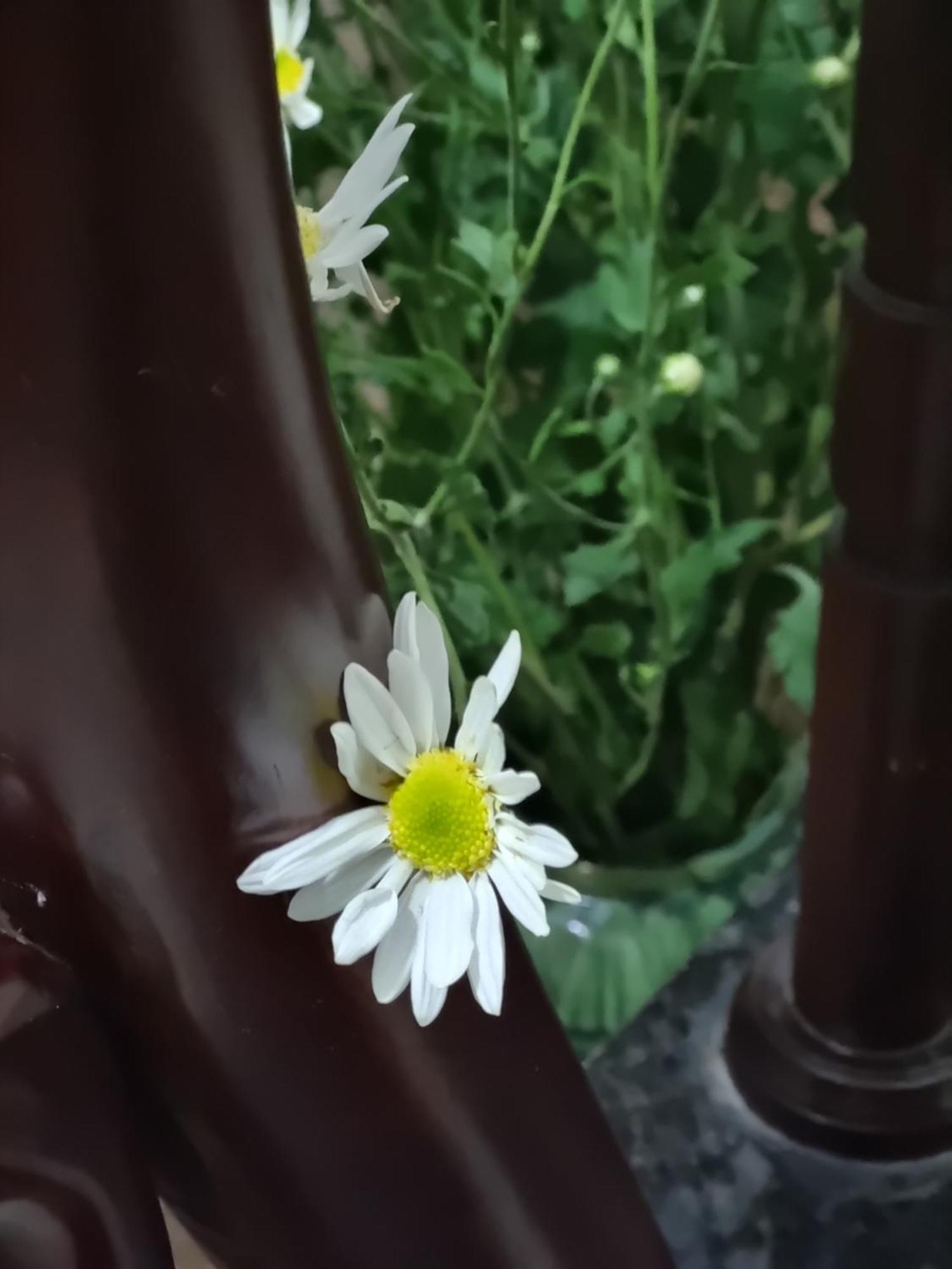May'S Cottage هانوي المظهر الخارجي الصورة